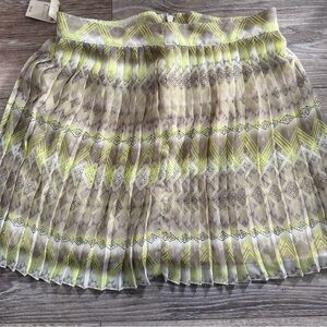 American Eagle Sheer Pleated Skirt